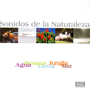 ดาวน์โหลดและฟังเพลง Lluvia Sobre el Mar พร้อมเนื้อเพลงจาก Natural Sound