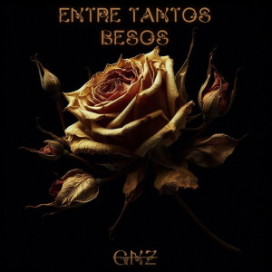 收聽GNZ的Entre Tantos Besos歌詞歌曲