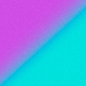 Album Wil from Wil