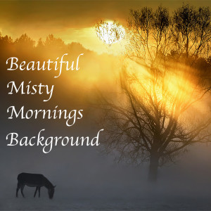 Listen to Nisgoda's Wonderful Night song with lyrics from Heath Ensemble