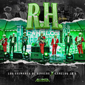Listen to R.H. (En Vivo) song with lyrics from Los Caimanes De Sinaloa