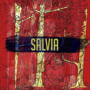 ดาวน์โหลดและฟังเพลง Dos พร้อมเนื้อเพลงจาก Salvia