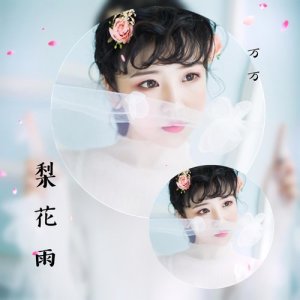 Listen to 梨花雨 (伴奏版) (伴奏) song with lyrics from 万慧慧