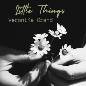 Anders Johansson的專輯Little Things (feat. Anders Johansson & Vittorio Longobardi)