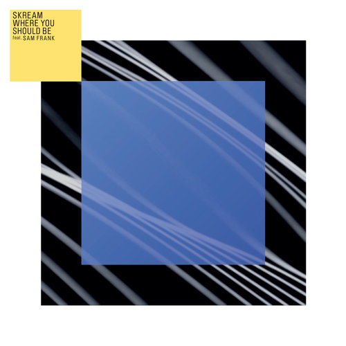 Where You Should Be (feat. Sam Frank) [Laidback Luke Remix] (Laidback Luke Remix)