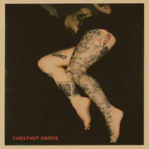ดาวน์โหลดและฟังเพลง Let It Down พร้อมเนื้อเพลงจาก Chestnut Grove