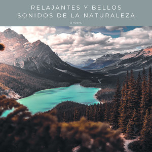 Album Relajantes y Bellos Sonidos De La Naturaleza - 2 Horas from Sonidos de la Naturaleza para Dormir