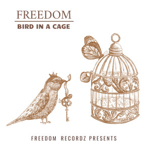 ดาวน์โหลดและฟังเพลง Bird in a Cage พร้อมเนื้อเพลงจาก Freedom