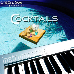 Album Cocktails Instrumentals from Dogg Master