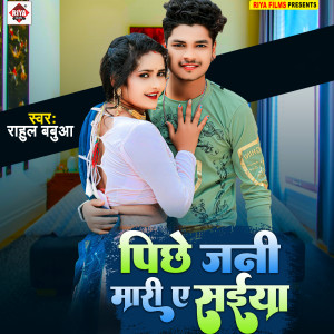 Listen to Pichhe Jani Mari E Saiyan song with lyrics from Rahul Babuaa