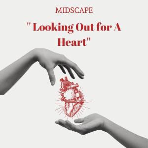 收聽Midscape的Agony歌詞歌曲