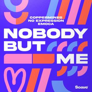 Listen to Nobody But Me song with lyrics from Coppermines