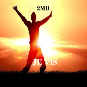 Dengarkan lagu Je vis nyanyian 2MB dengan lirik
