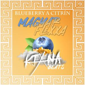 收聽Magyar Flexxa的Blueberry A Citrín (Explicit)歌詞歌曲