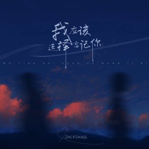Album 我应该选择忘记你 from Jackswag