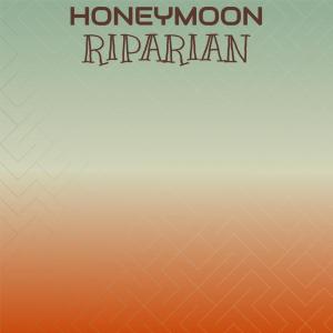 Dengarkan Ventura Dei lagu dari Pann Vali dengan lirik