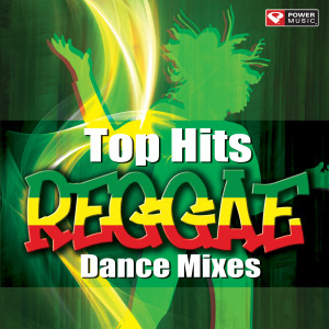 收聽Power Reggae的We Are Never Getting Back Together (Reggae Mix)歌詞歌曲
