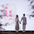 Album 你是我爱的人 from MC落叶词天