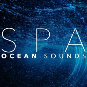 Ocean Sound Spa的專輯Spa: Ocean Sounds