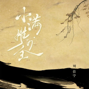 Listen to 小满胜万全 song with lyrics from 刘佳宁
