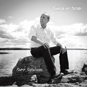 收聽Pedro Sepulveda的Nunca歌詞歌曲