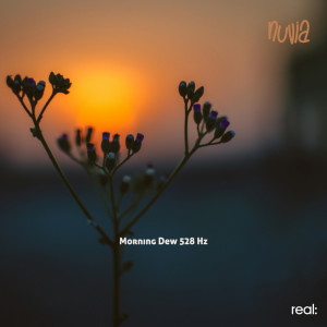 收聽Nuvia的Morning Dew 528 Hz歌詞歌曲