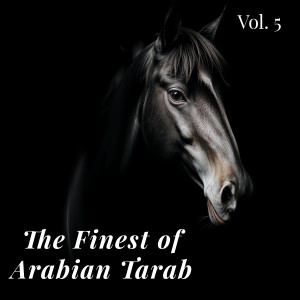 Iwan Fals & Various Artists的專輯The Finest of Arabian Tara,Vol. 5