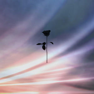 收聽Arash Shadram的All the Bright Places (Original Mix)歌詞歌曲
