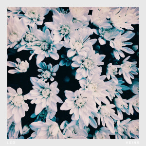 ดาวน์โหลดและฟังเพลง Veins พร้อมเนื้อเพลงจาก LOS LEO