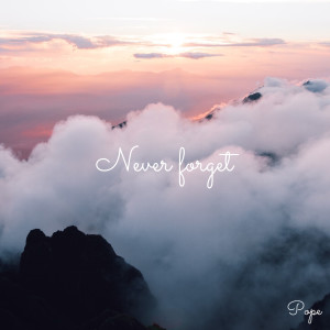 Album Never Forget oleh Pope