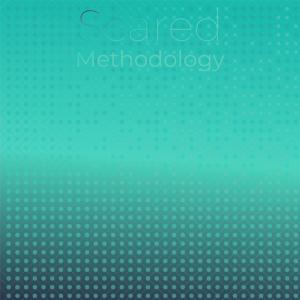 Scared Methodology dari Various