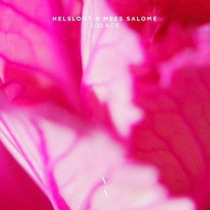 收聽Helsloot的Solace歌詞歌曲