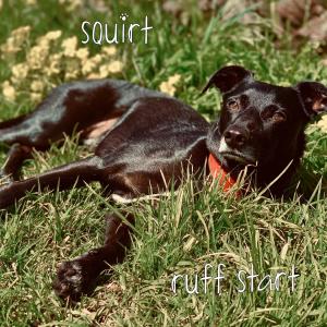 Listen to Sad Year song with lyrics from Squirt