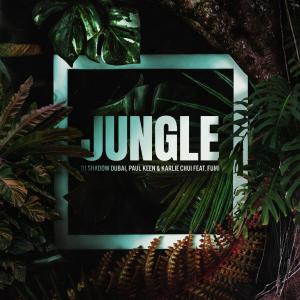 DJ Shadow Dubai的專輯Jungle (feat. FUMI) (Extended Mix)