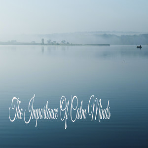 Album The Importance Of Calm Minds from Rain Sound Studio
