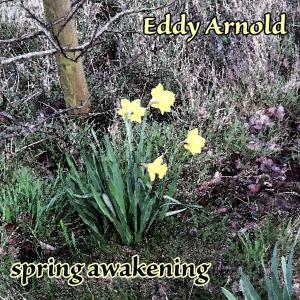 Eddy Arnold的专辑Spring Awakening