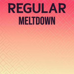 Various的专辑Regular Meltdown