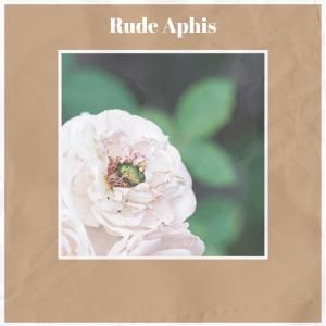 Listen to Suchlike Everybody song with lyrics from Alphy Sille