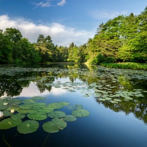 Calm Music Masters Relaxation的專輯Music For Serene Times And Soft Reflections