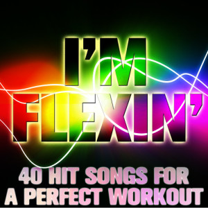 อัลบัม Go Hard: 40 Hit Songs for a Perfect Workout ศิลปิน DJ Playback