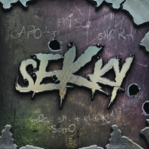 Listen to Sekky song with lyrics from Capo Lee