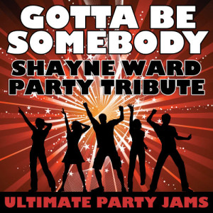 ดาวน์โหลดและฟังเพลง Gotta Be Somebody (Shayne Ward Party Tribute) พร้อมเนื้อเพลงจาก Ultimate Party Jams