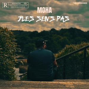 ดาวน์โหลดและฟังเพลง J'les sens pas (Explicit) พร้อมเนื้อเพลงจาก Moha