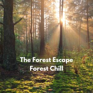 The Forest Escape的專輯Forest Chill