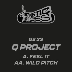 อัลบัม Feel It / Wild Pitch ศิลปิน Q Project