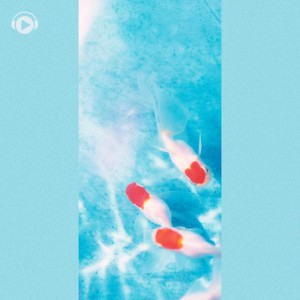 收听ALL BGM CHANNEL的things and songs (feat. Noru)歌词歌曲