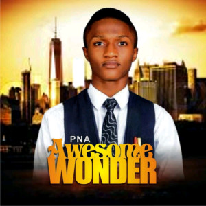 收聽Pna的Awesome Wonder歌詞歌曲