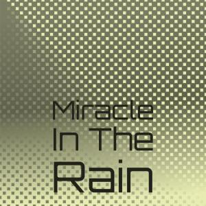 Silvia Natiello-Spiller的專輯Miracle In The Rain