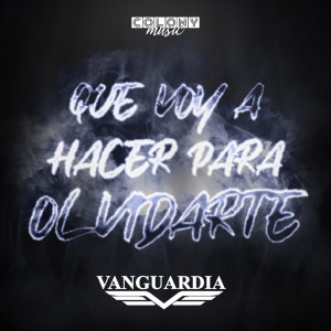 Listen to Que Voy A Hacer Para Olvidarte song with lyrics from Grupo Vanguardia
