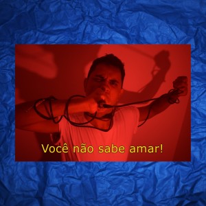 Donne的專輯Você Não Sabe Amar